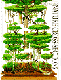 Click to order Nature Cross-Sections