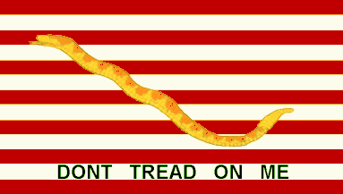 Click to order a Navy Jack Flag